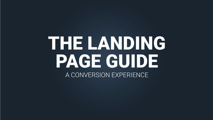 1-the-landing-page-guide-title